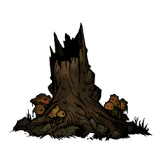 Old tree