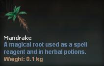 Mandrake