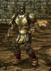 Ork Protector