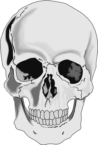File:Skull4.png
