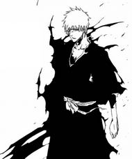 Ichigo's 2nd fullbring