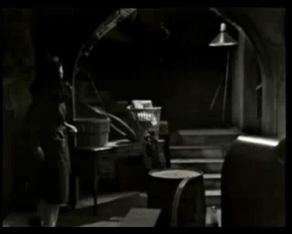 File:Basement2.jpg