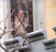 Sarah screams