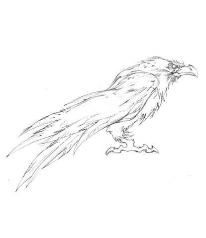 File:Character dust concept2.jpg