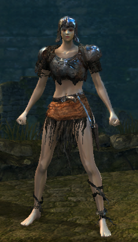 File:Hollow Soldier Set Female.png