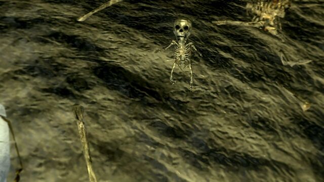 File:Baby Skeleton.jpg