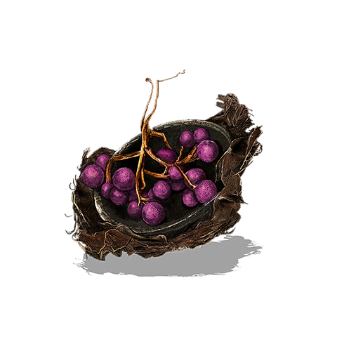 File:Mossfruit.png