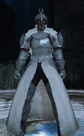 File:Throne Watcher Set.jpg