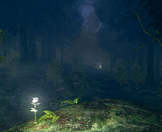 Darkrootforest