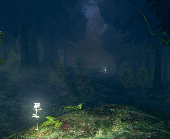 File:Darkrootforest.jpg