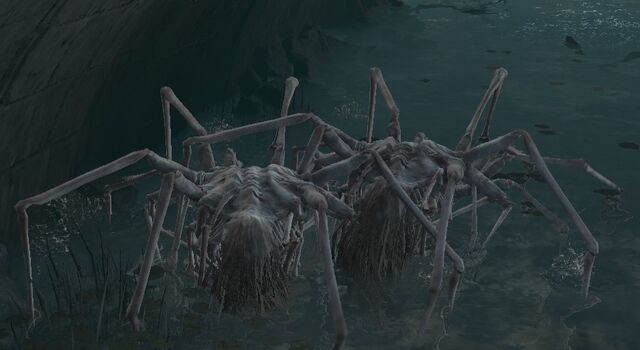 File:Sewer centipede (2).jpg