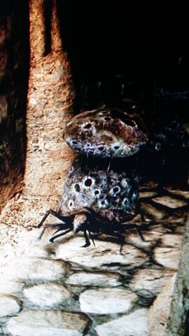 File:Poison Horn Beetle.jpeg