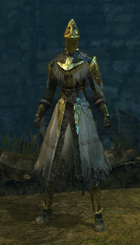 File:Paladin set female.png
