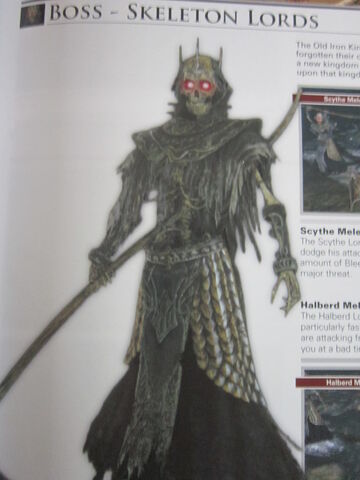 File:Skeleton Lord.jpg