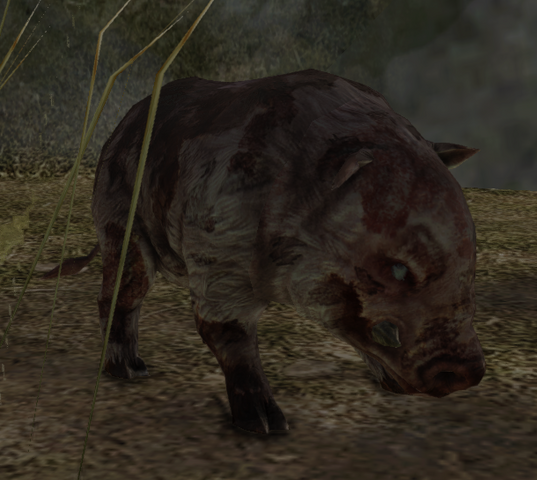 File:Enslaved Pig.png