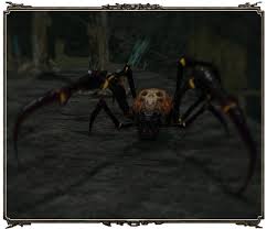 File:Parasite spider.jpg