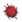 Upgrade II Bleed