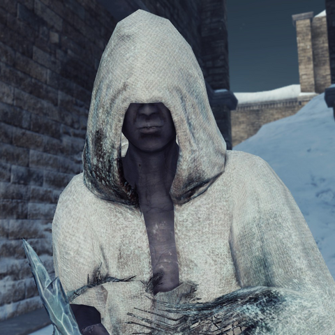 File:CotIK enemy Retainer.png