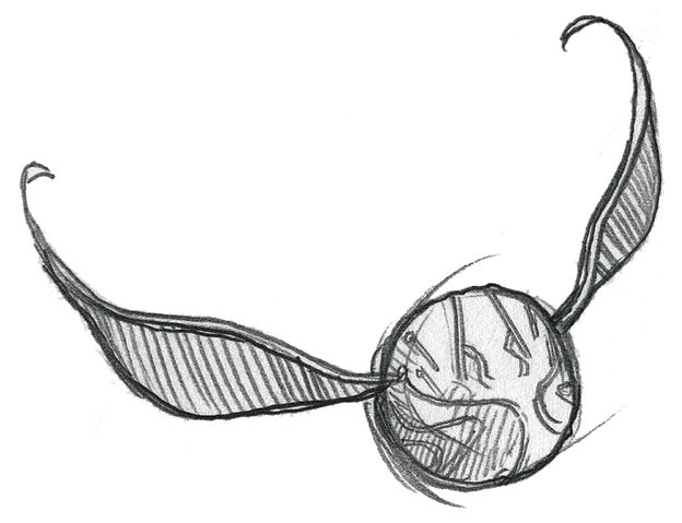 File:100521 pepinmotion seekerCG.jpg
