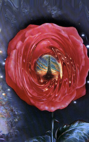 File:Rose.jpg