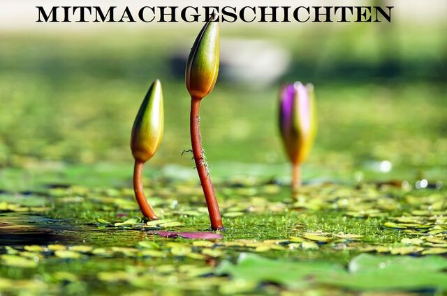 Datei:Mitmachgeschichten.jpg