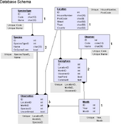 Database schema