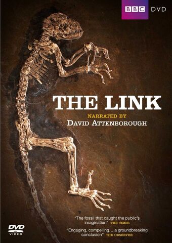 File:TheLink.jpg