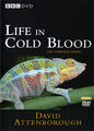 Thumbnail for version as of 20:08, January 14, 2012