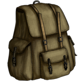 Tourist backpack