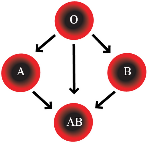 File:Blood compability.png