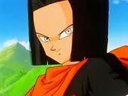 Images (16)