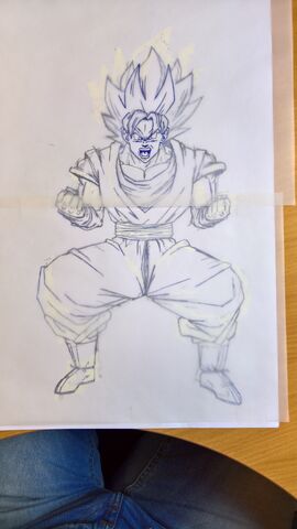 File:Projetgoku03.jpg