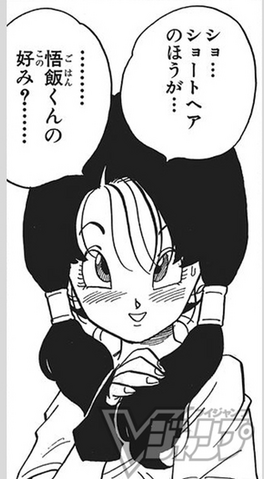 File:Videl 000.png