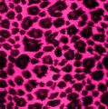 Thumbnail for version as of 07:27, January 22, 2012