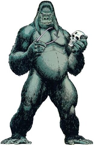 File:Gorilla Grodd.jpeg