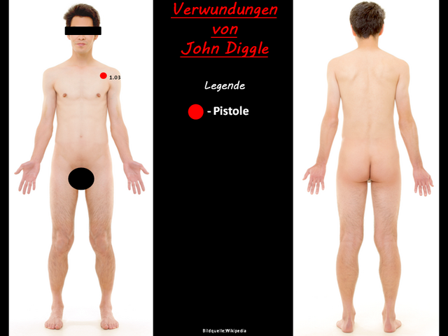 Datei:Verwundung Diggle.png