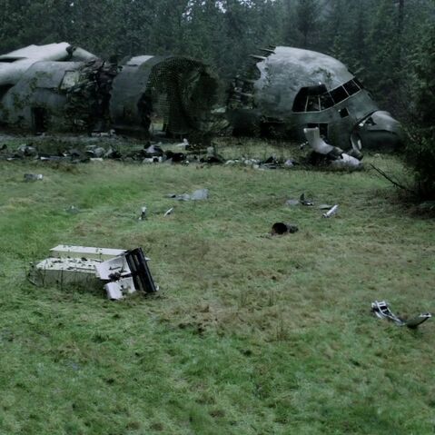 Datei:Flugzeugwrack.jpg