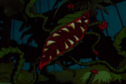 Venus Fly Trap