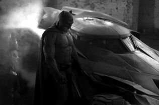File:First bat pic.jpg