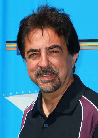 File:Joe Mantegna.jpg