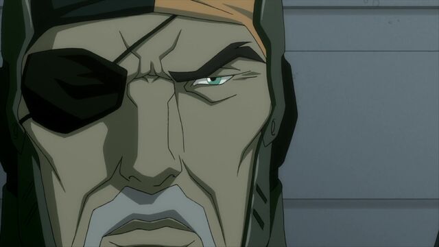 File:Jl-flashpoint(2013) 0936.jpg