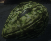 Green Ivy seed