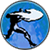 File:Avalanche icon.png