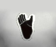 EmblemAcrobatGorilla