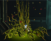 Pheromone Bloom