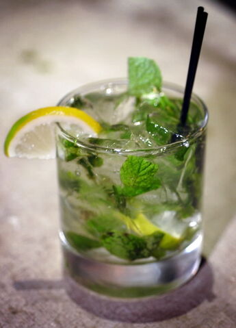 File:Mojitoredmaple.jpg