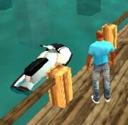 VCS Wassersport.jpg
