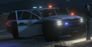 Park Ranger SUV V