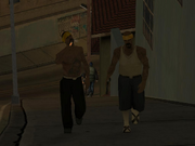 LSV1&LSV3.png