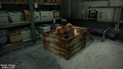 Dead rising cultist hideout (2)
